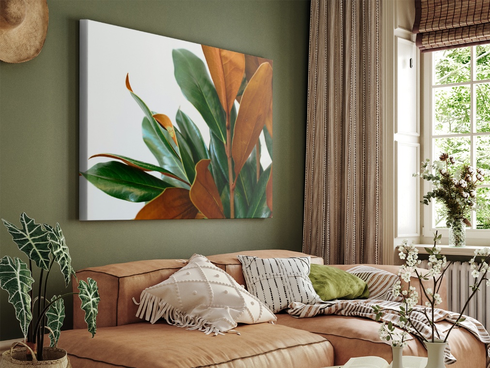 Color roadmap: Fall 2025 palette and what to photograph