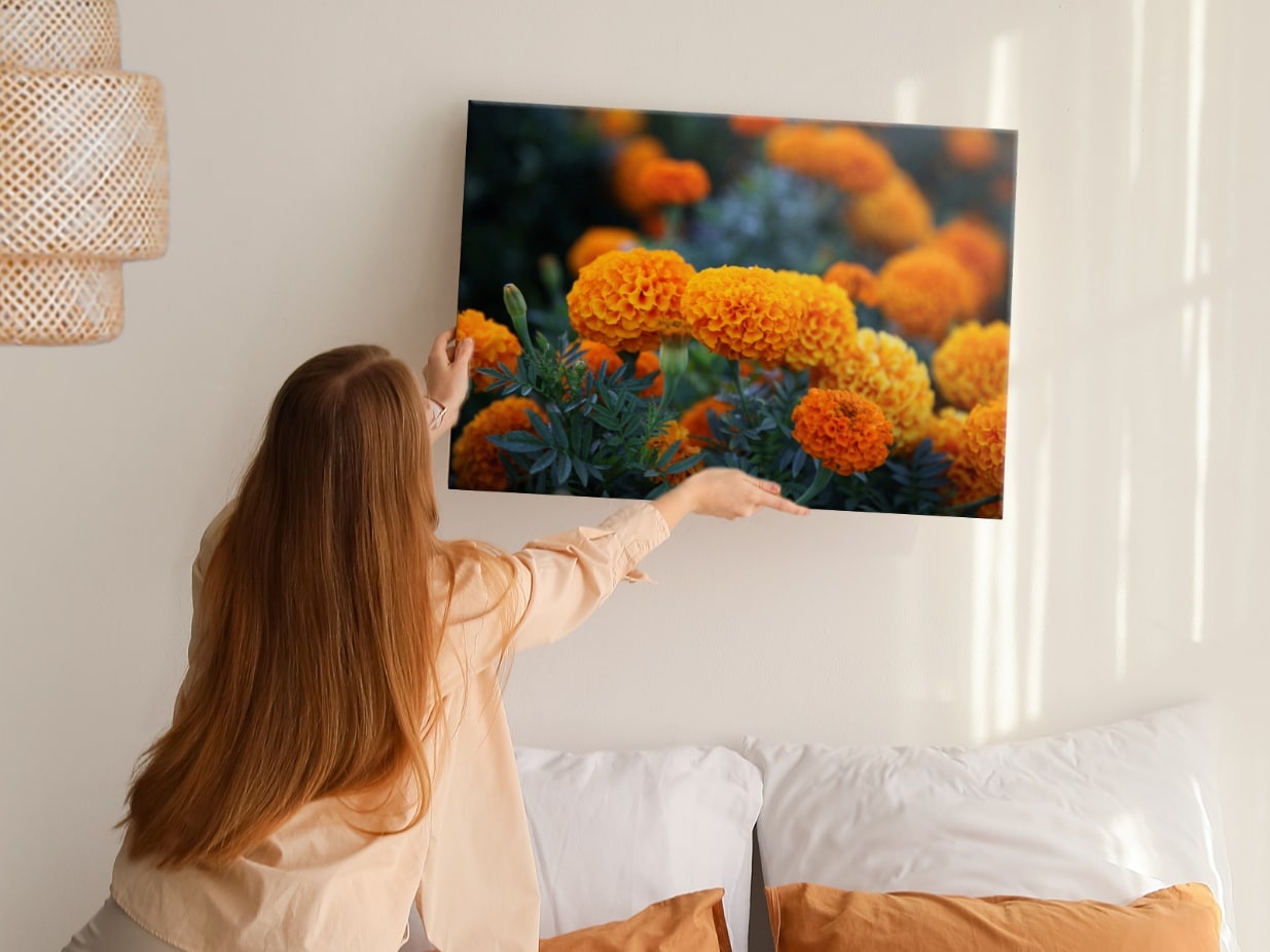 From the Garden to the Wall: Celebrating Fall with Affordable, Cheap Canvas Prints