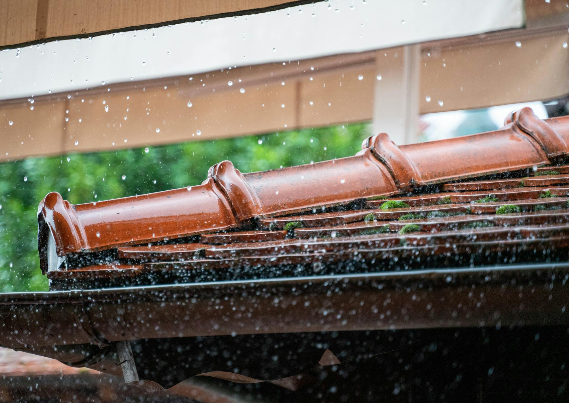 Gutter Protection vs. Gutter Cleaning: What’s the Best Long-Term Solution?