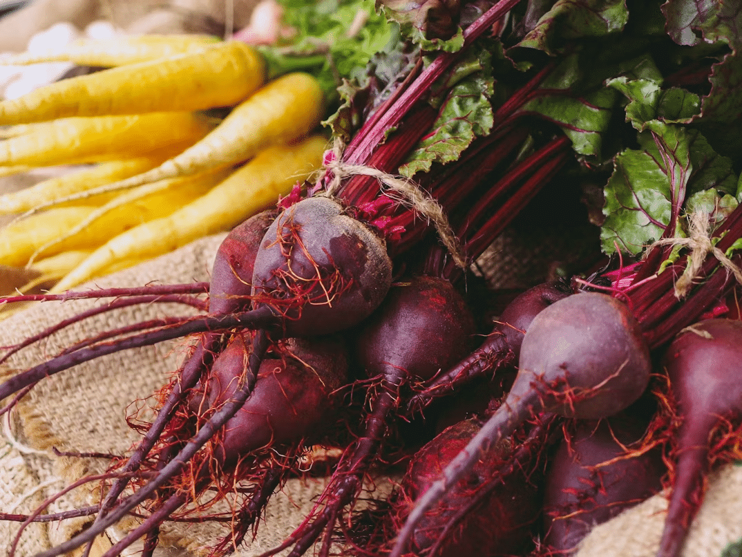 Beets in the Backyard: How to Grow and Use Them Year-Round