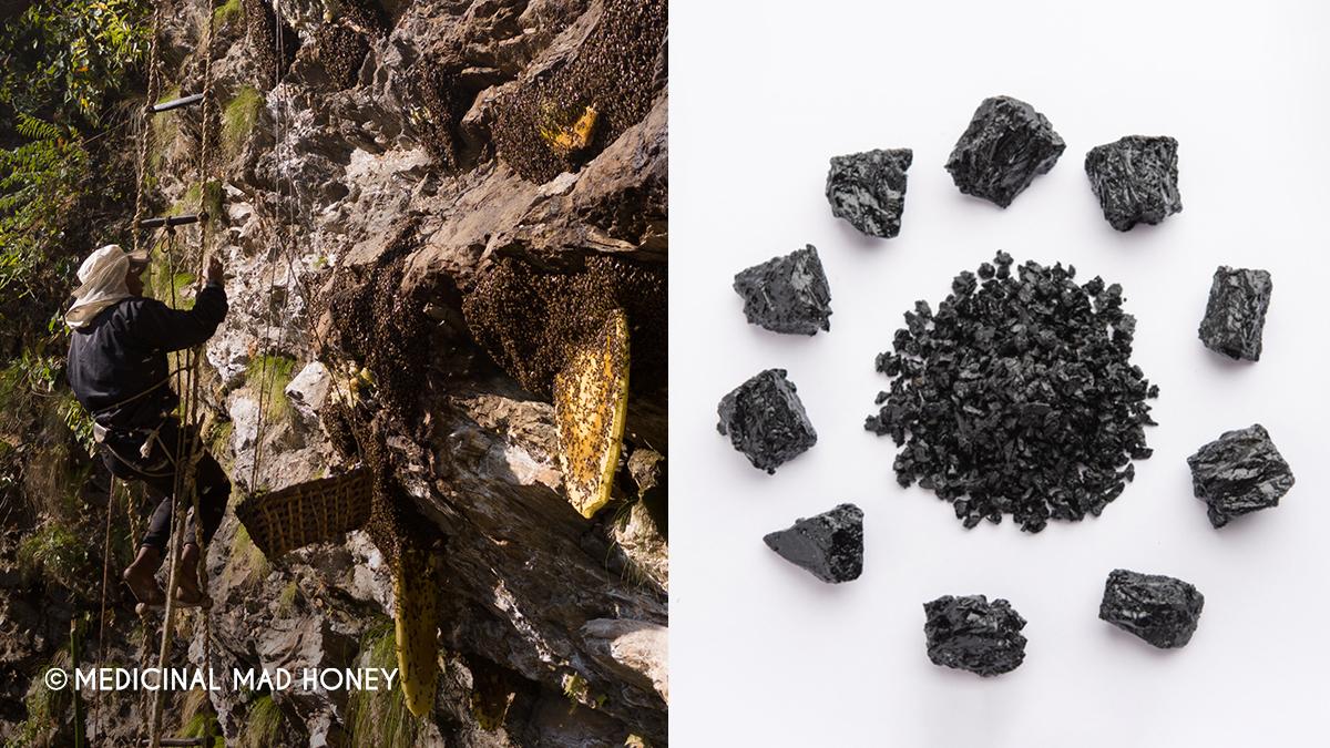 Shilajit and Mad Honey from Garden of The Himalayas