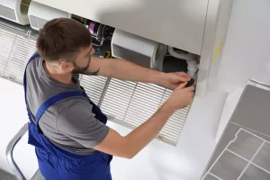 Seasonal HVAC Tune-Ups Homeowners Often Miss: Risks to Energy Efficiency & Plant Zones