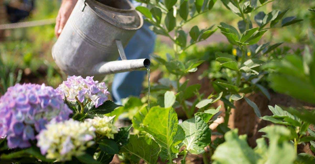 Master Soil First: pH, Amendments & Watering for Resilient Plants in Tough Climates