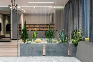 Designing Sustainable Gardens and Interiors: Eco-Friendly Tips for Style and Growth