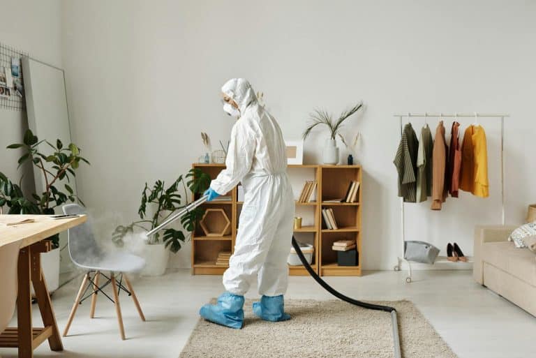 Backyard Defense: How Modern Pest Control Services Keep Homes Livable and Low-Stress