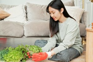 Budget-Friendly Home Improvements That Make a Big Impact