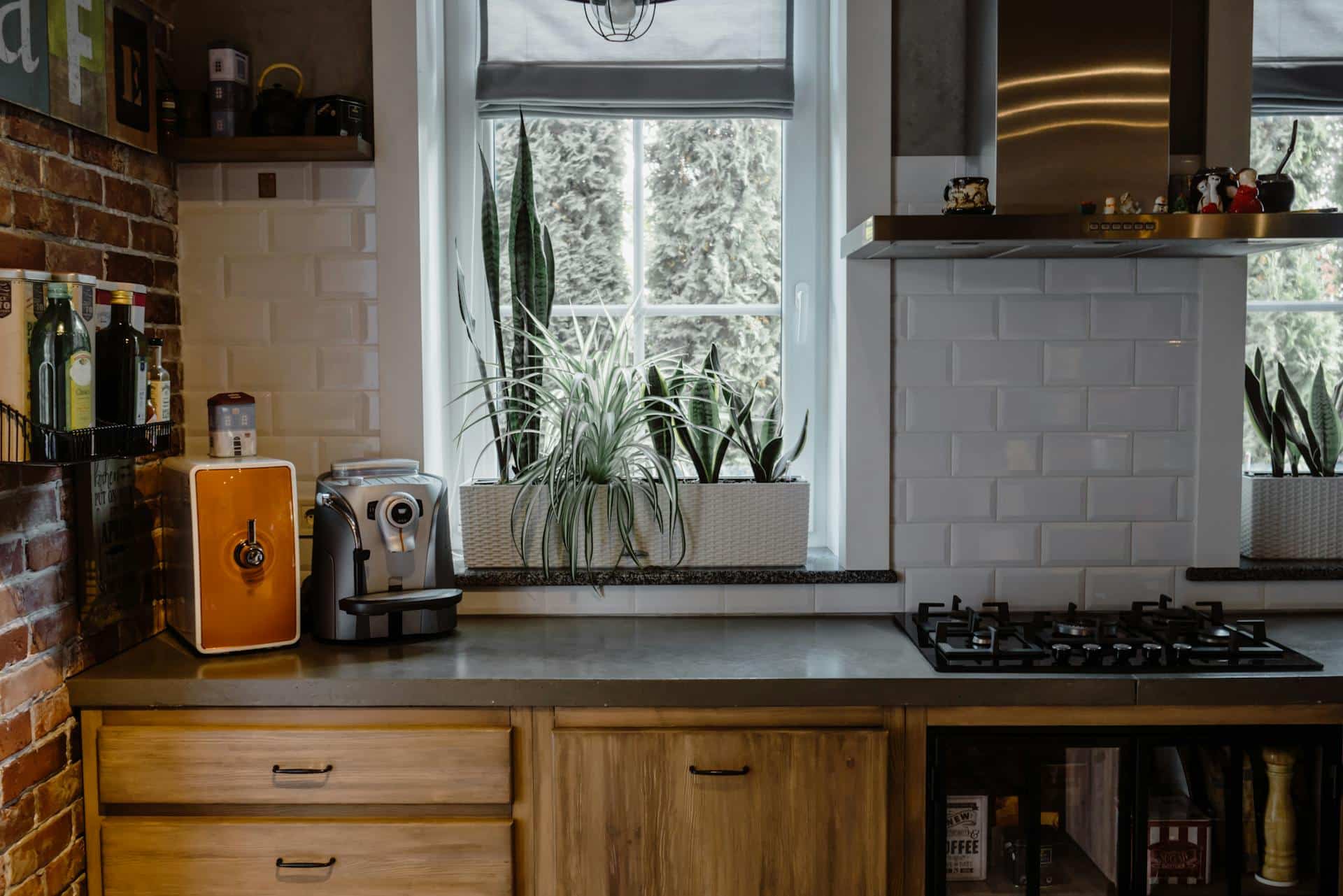 7 Ways to Make Your Kitchen More Eco-Friendly Without Trying Too Hard