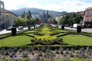 How Landscaping Choices Can Reduce a Car Accident Risk