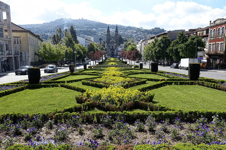 How Landscaping Choices Can Reduce a Car Accident Risk
