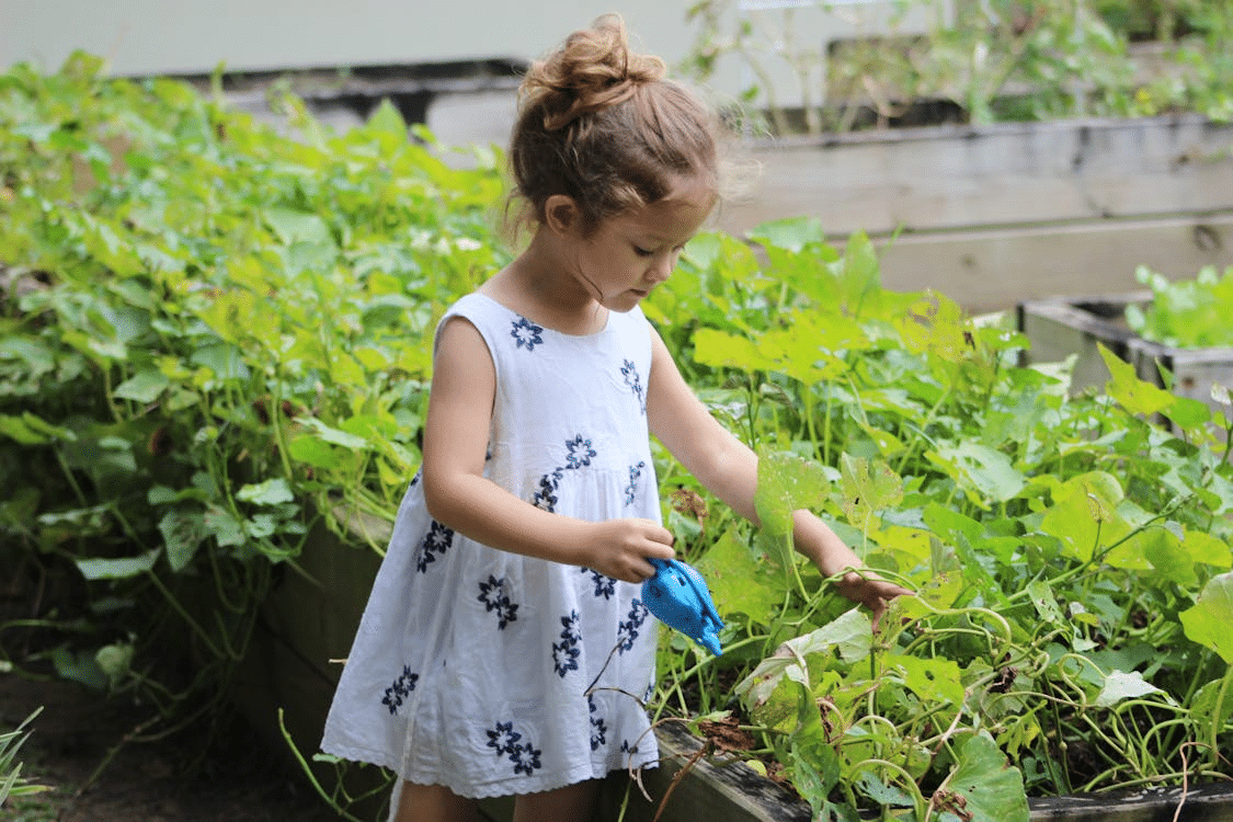 How Can Parents Save Time for Gardening While Helping a Struggling Reader?