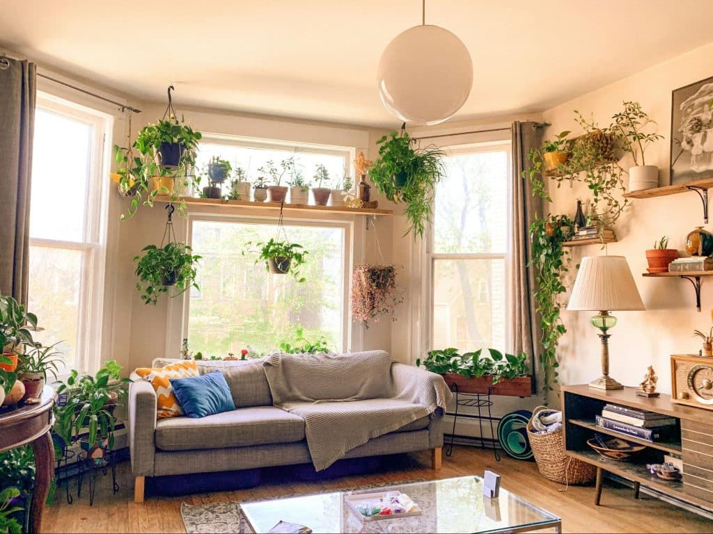 Sustainable Choices for Your Home Renovation