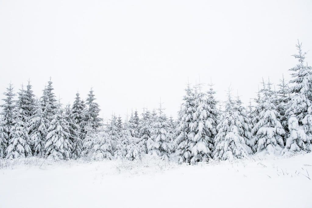 Turning the Heat on Winter Savings