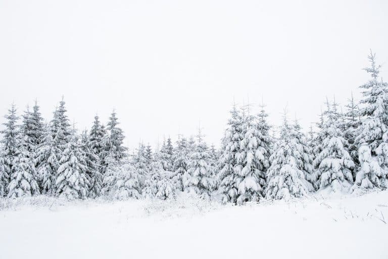Turning the Heat on Winter Savings