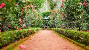 Smart Hacks for Making Small Gardens Feel Spacious