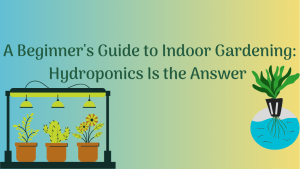 A Beginner's Guide to Indoor Gardening: Hydroponics Is the Answer