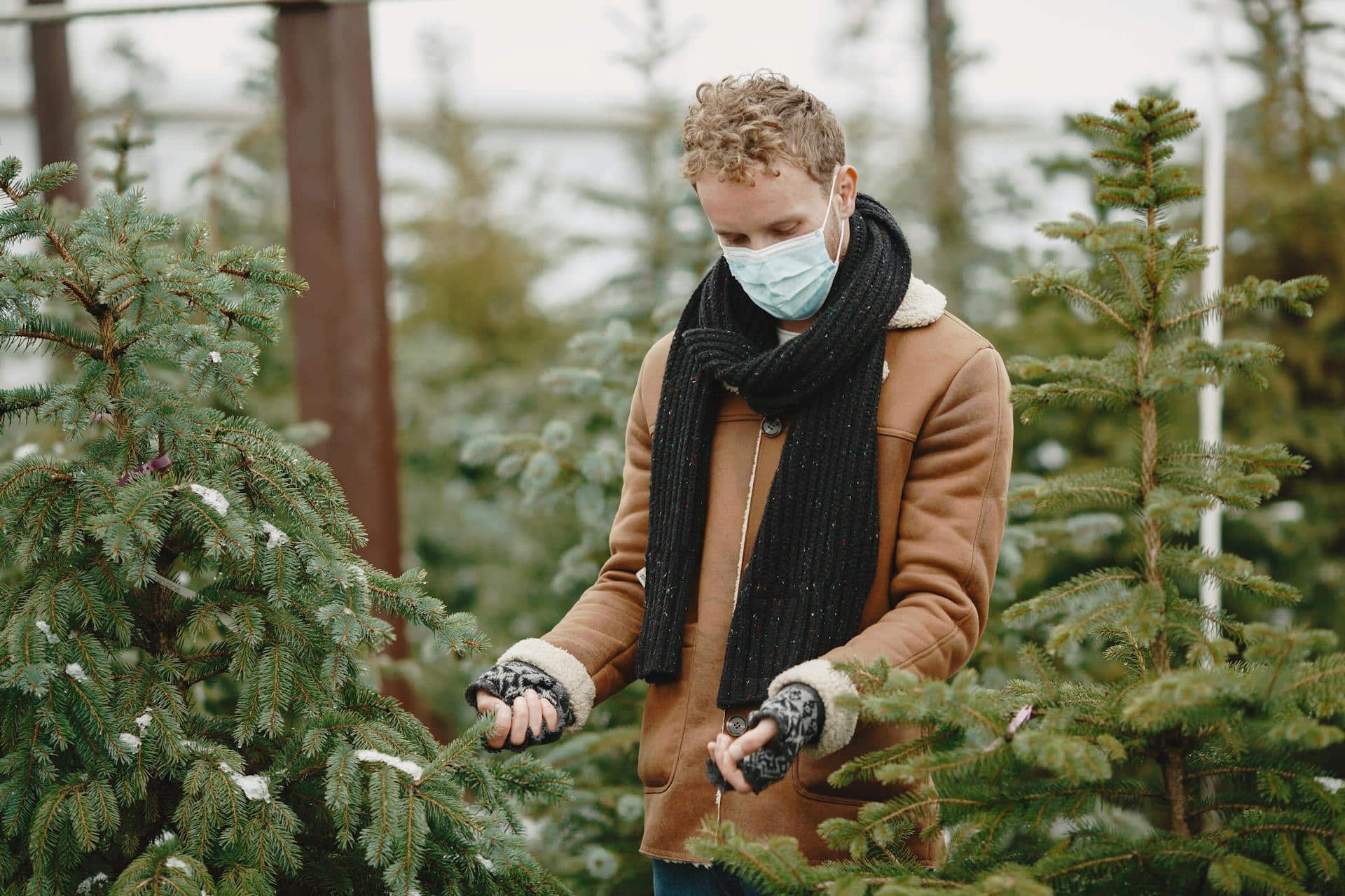 A Guide to Choosing the Right Plants for Delivery to a Friend