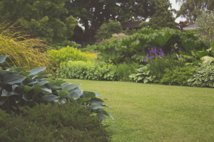 How Do You Plan a Landscape That Outlives You