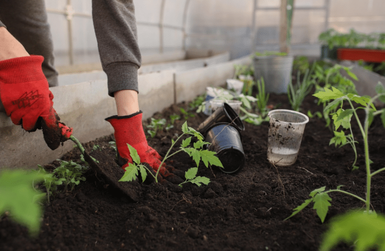 Common Garden Pests That Actually Indicate Bigger Problems