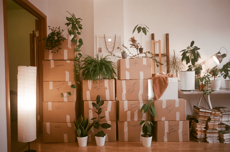 Smooth Transitions: Navigating Your Home Move with Professional Expertise