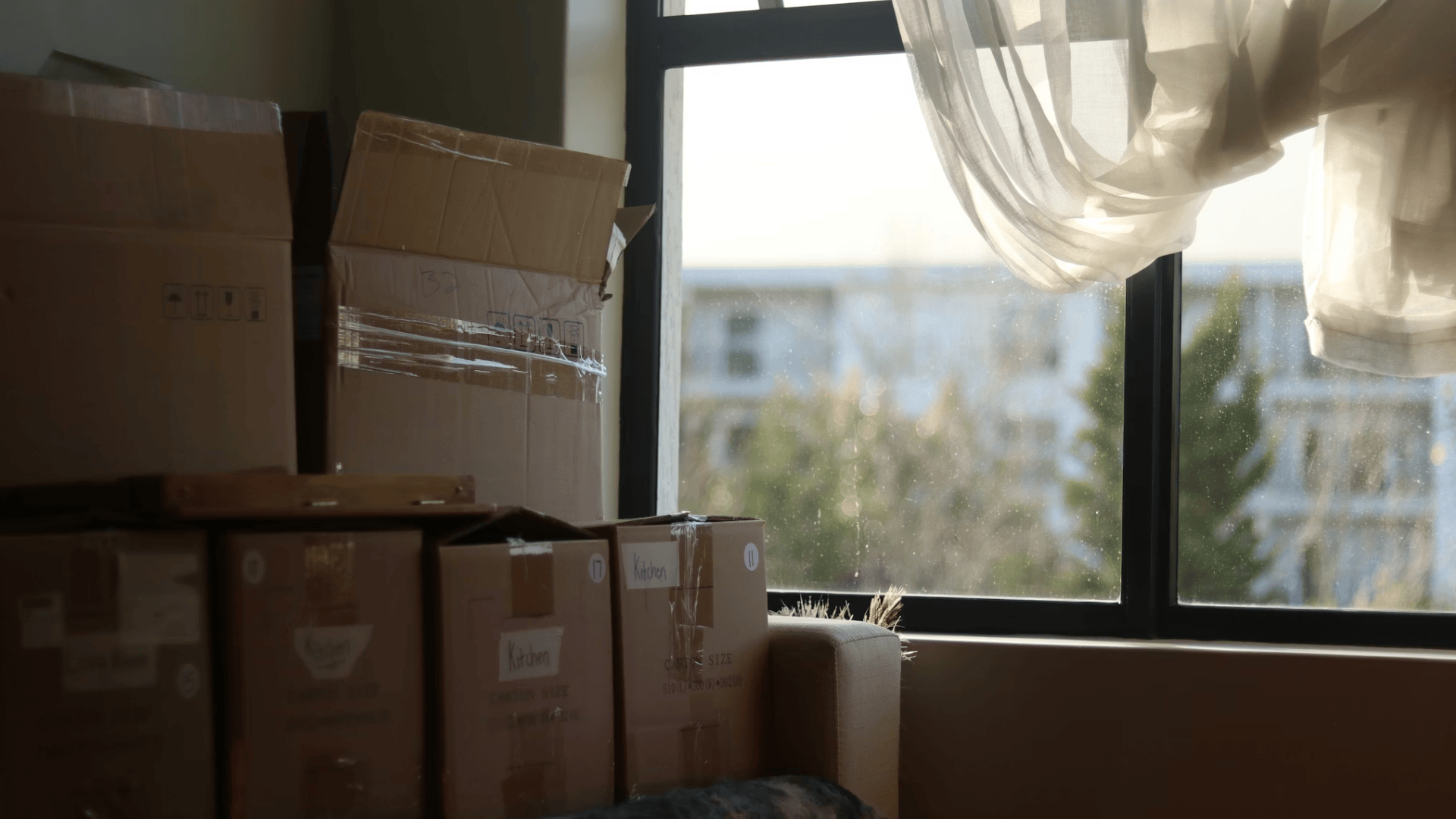 Use Free or Low-Cost Packing Materials