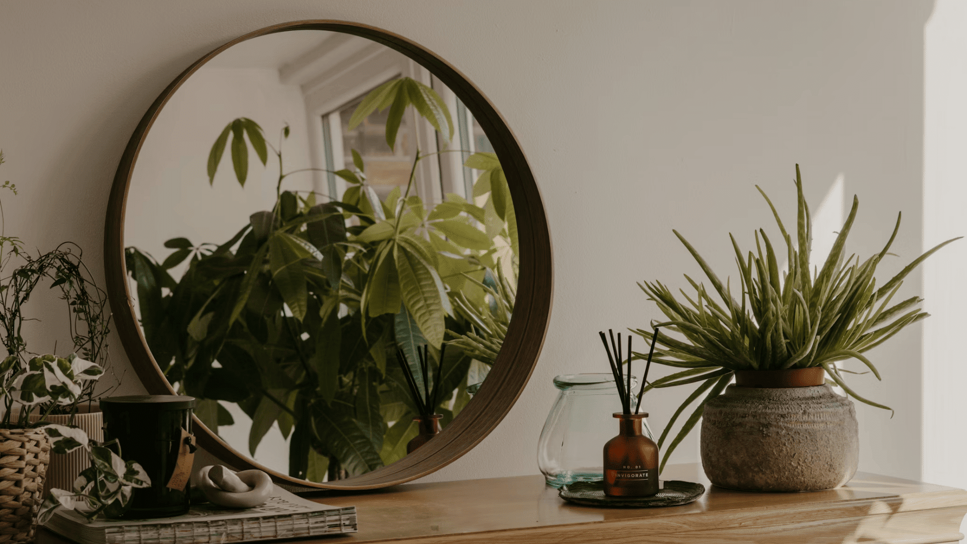 The Best Plants for Small Dorm Spaces