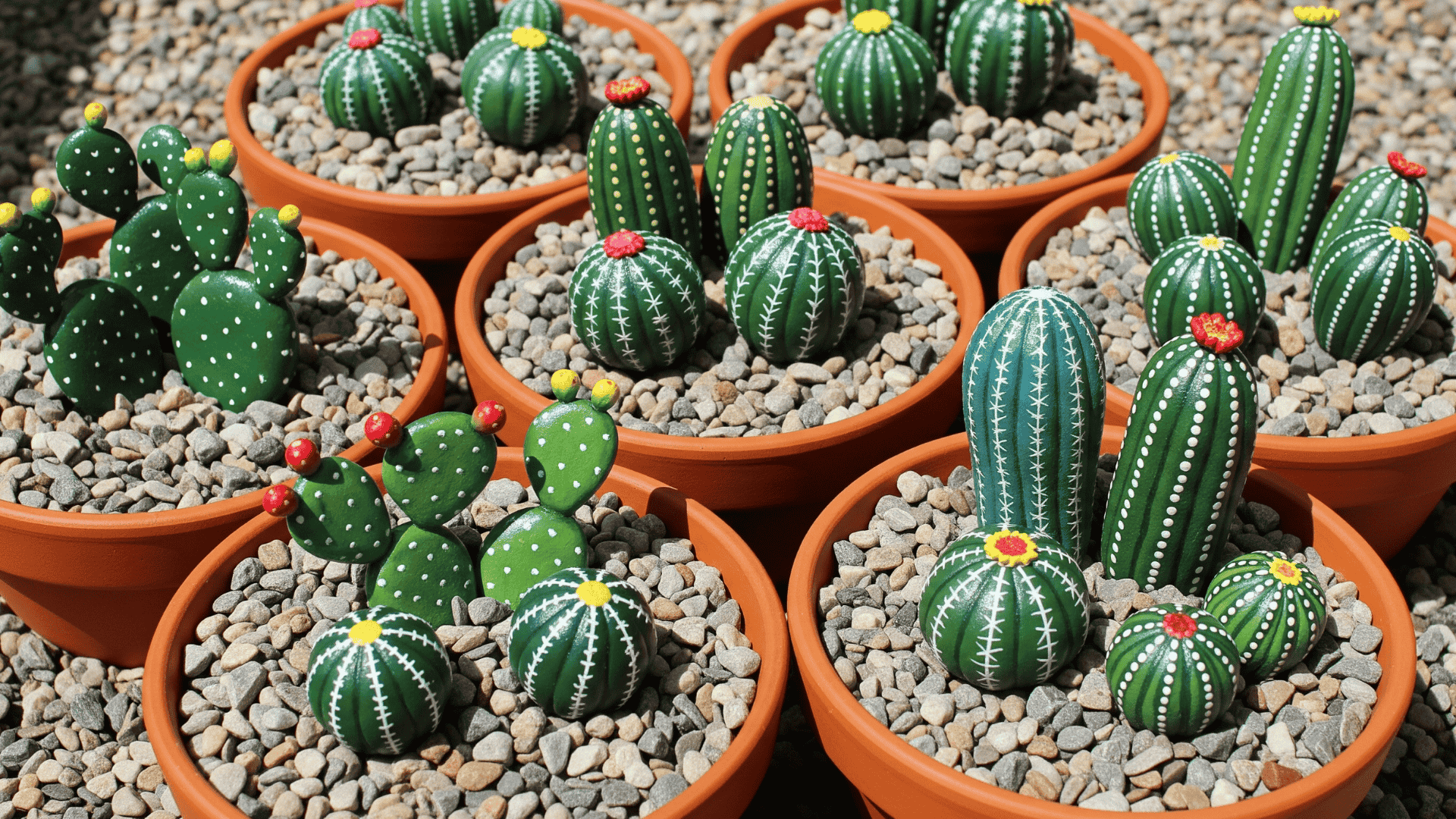 Make a cactus rock garden