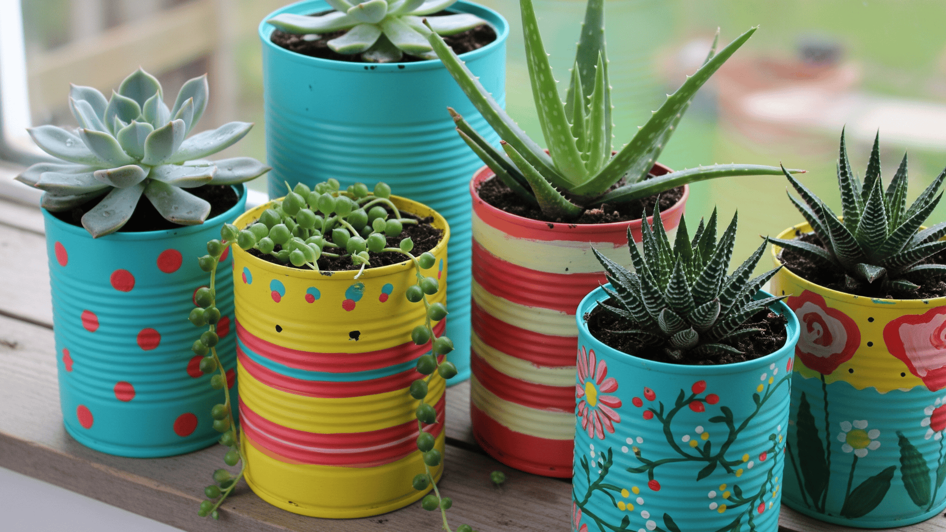 Plant in repurposed cans