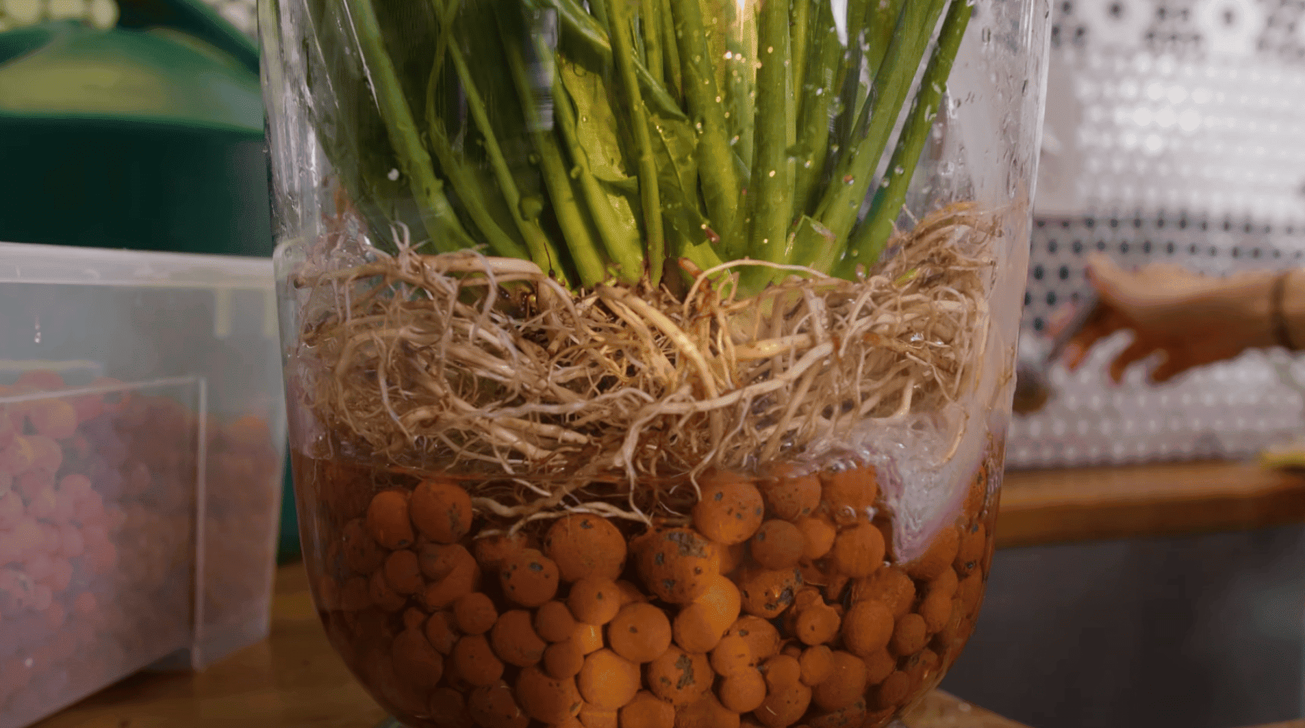 Step 4 add water and monitor the water line