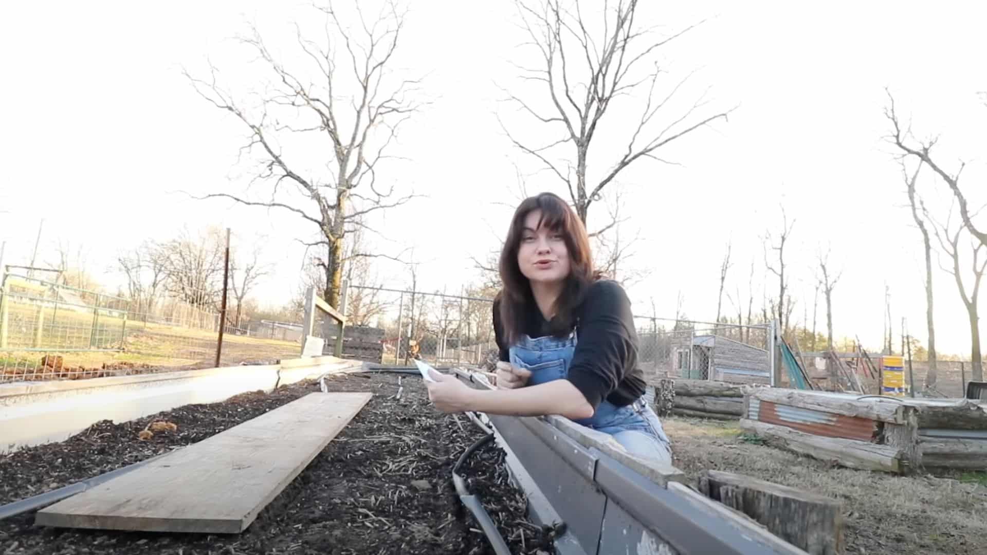 step 1 pick the right time to plant