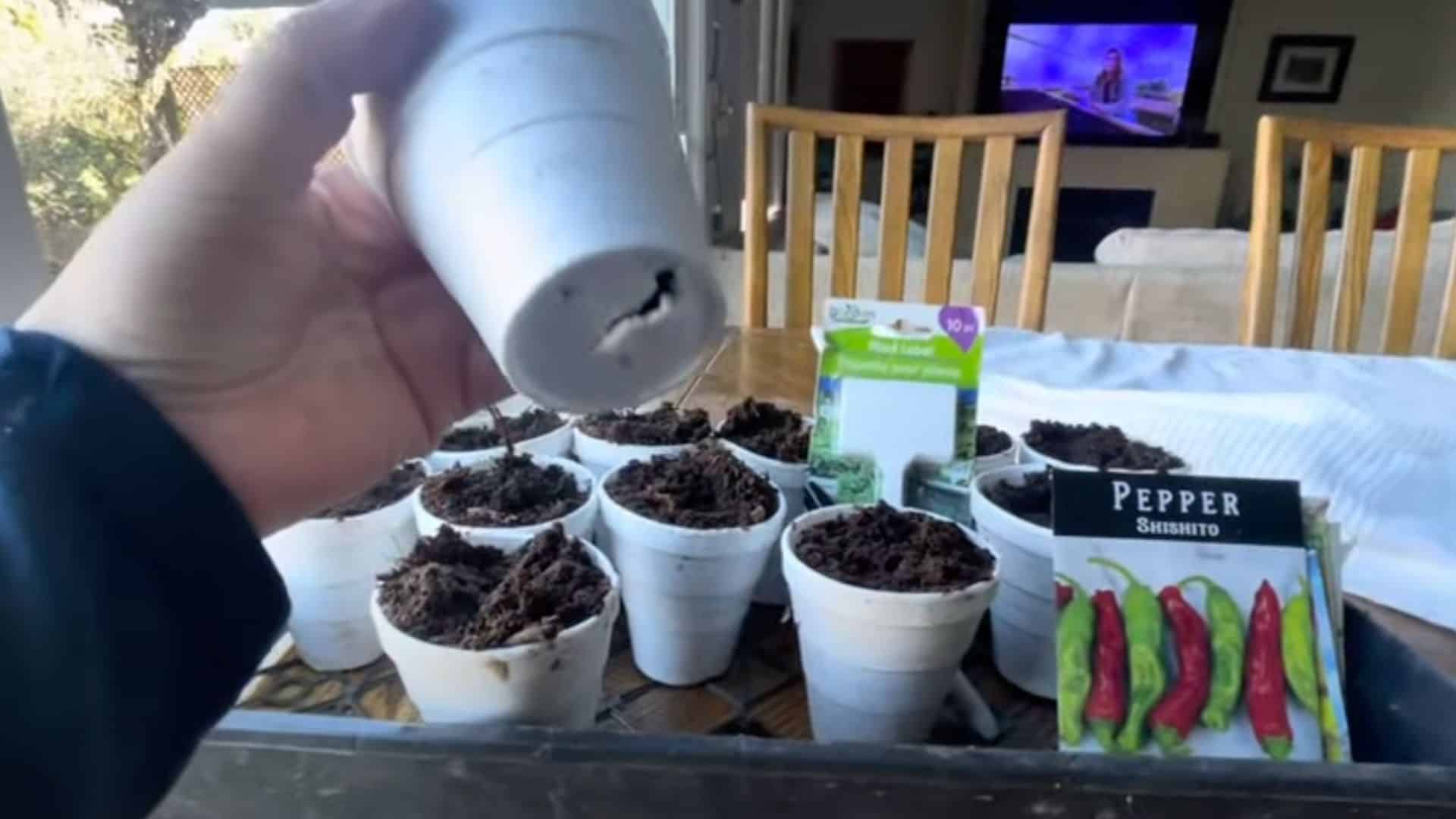 step 1 prepare the containers and soil