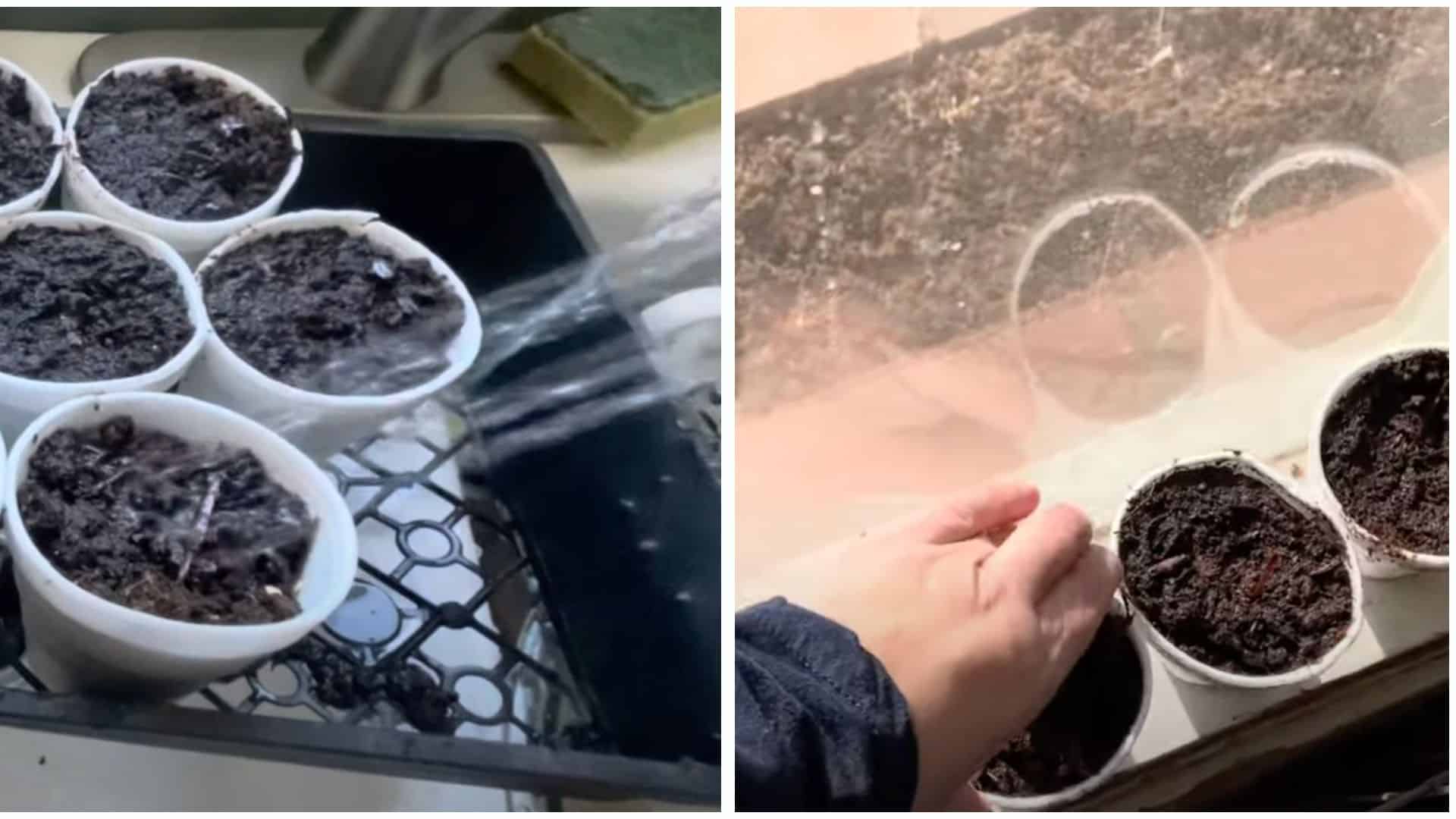 step 3 water and keep warm