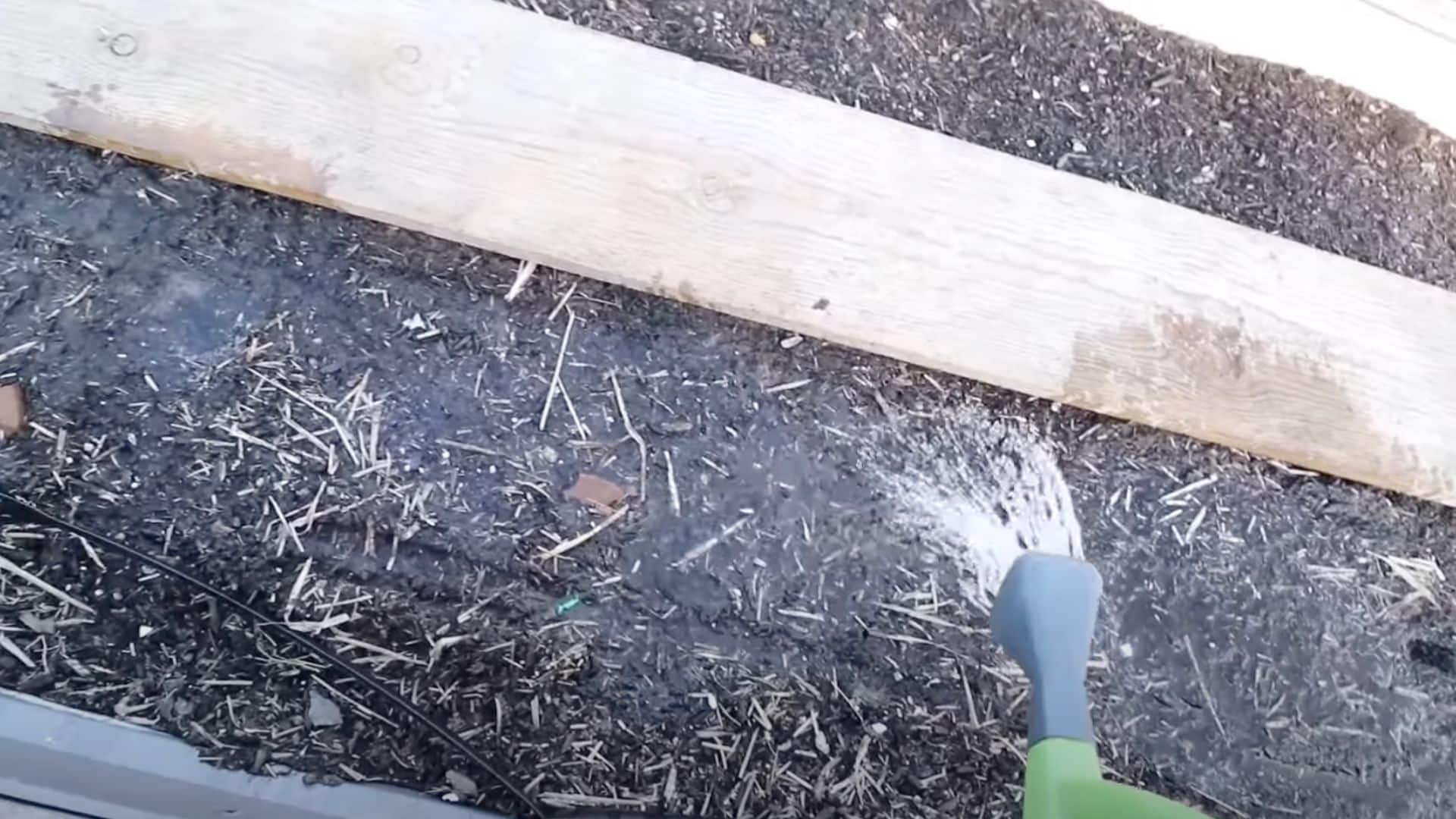 step 3 water the soil before dropping seeds