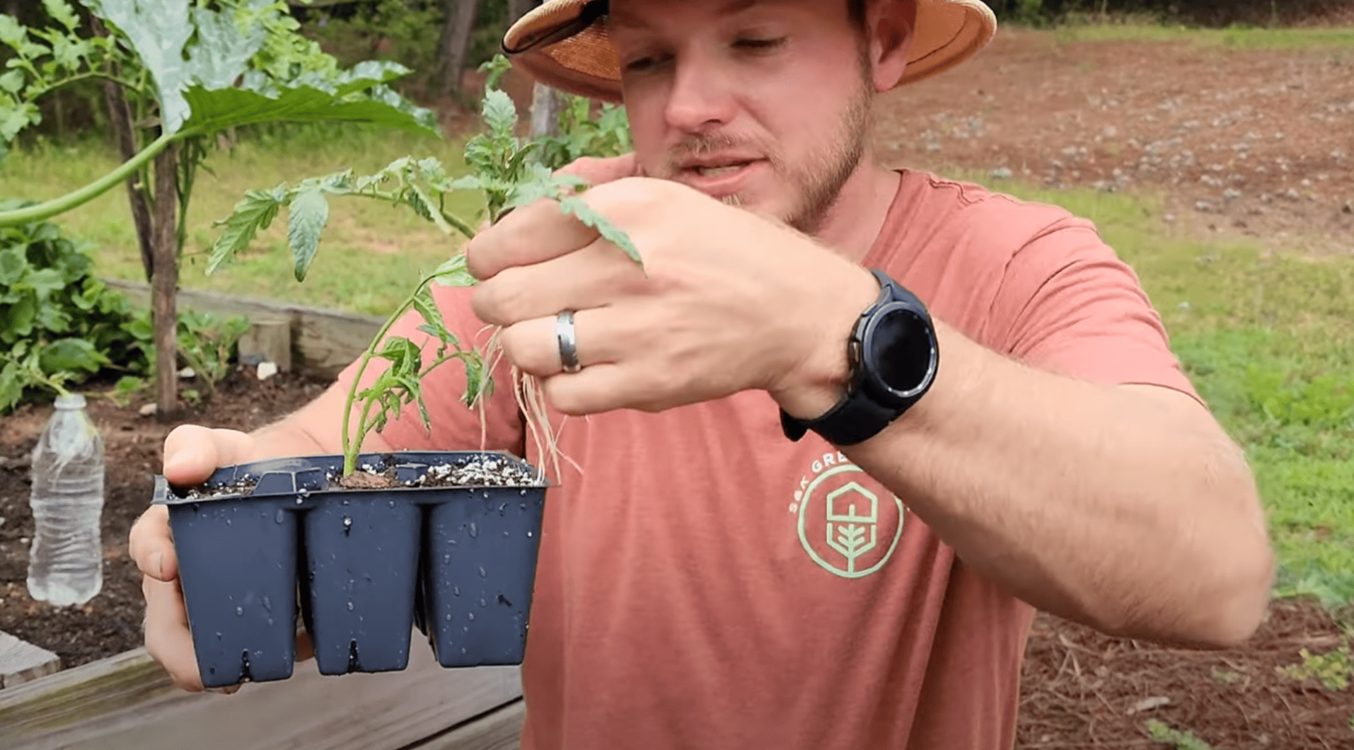 step 5 transplant your rooted cuttings