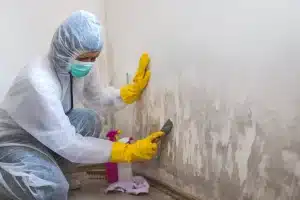 The Complete Guide to Mold Removal in Salem, OR: Causes, Signs, Health Risks & Professional Solutions