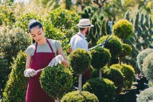 The Benefits of Professional Landscape Design vs. DIY Landscaping