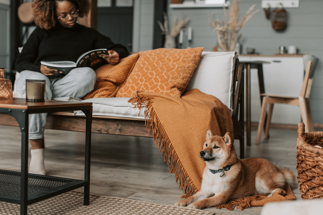 7 Pet-Friendly Features to Include When Building a Custom Home