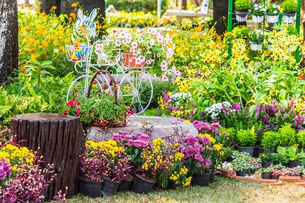 How Simple Garden Habits Can Completely Transform Your Backyard