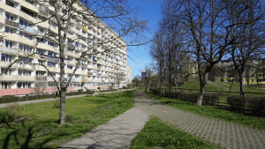 How Professional Landscape Planning Transforms Outdoor Spaces