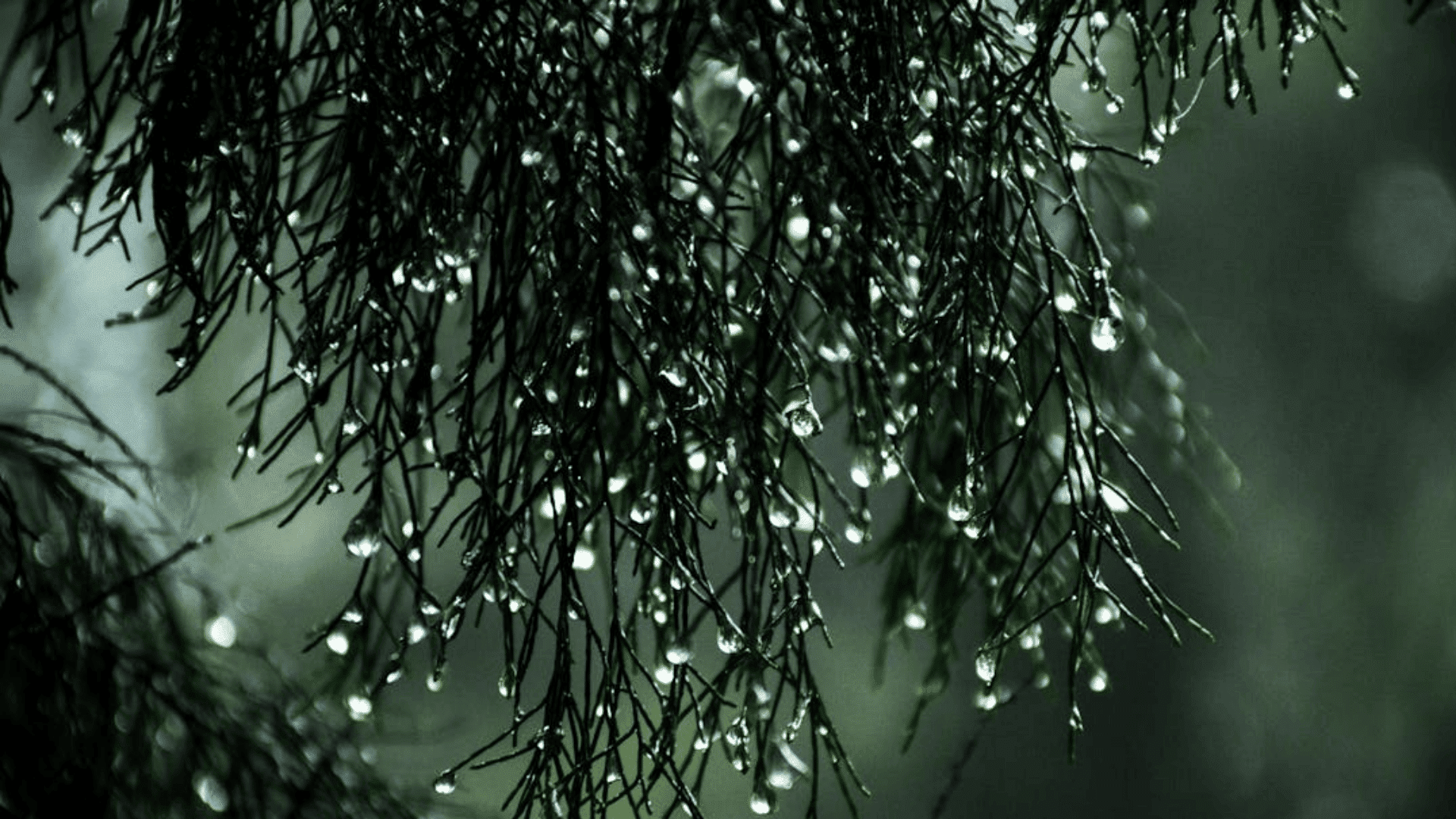 Rainy-Season and Post-Storm Considerations