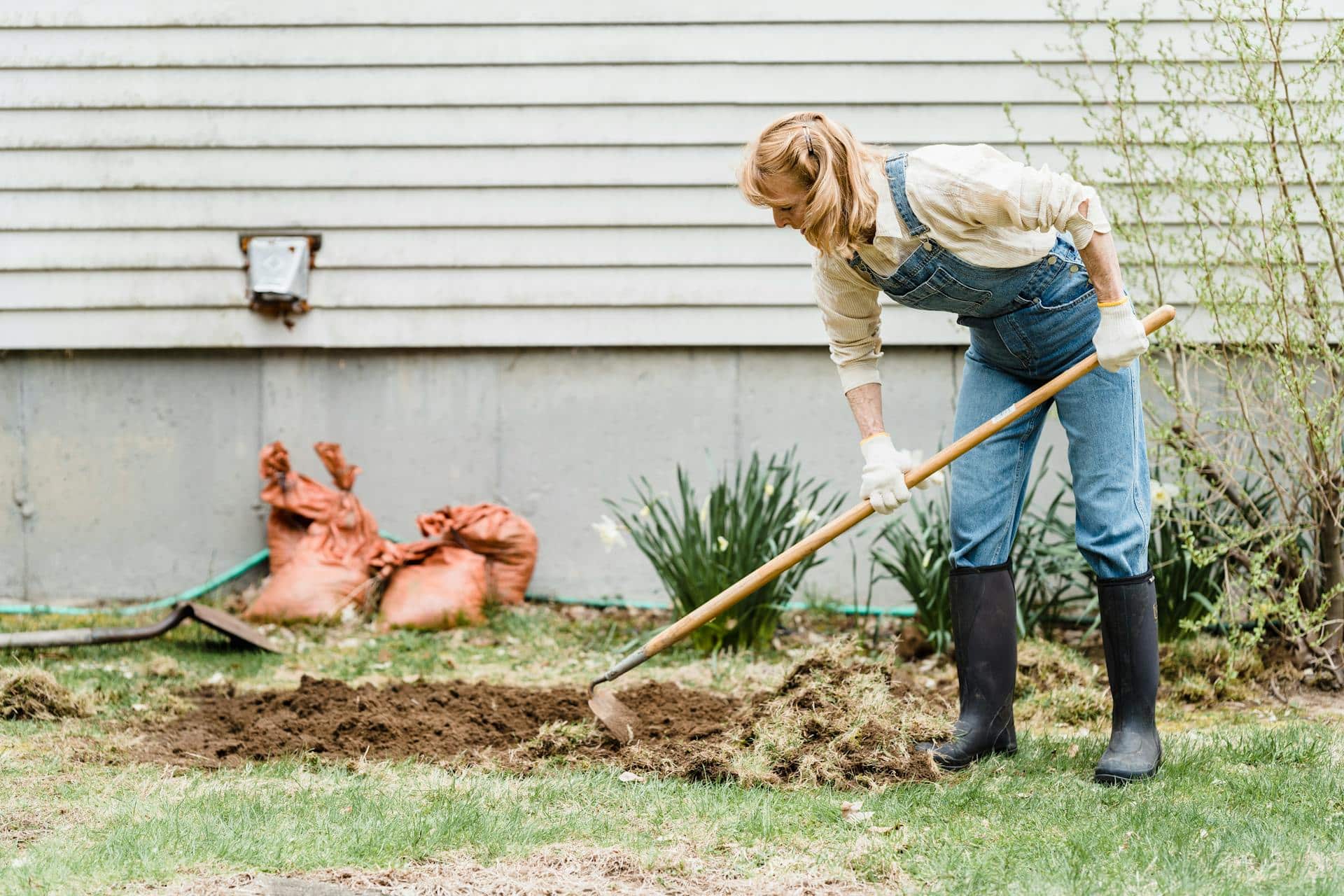 Why Mulch Is One of the Most Overlooked Tools for a Healthy Lawn
