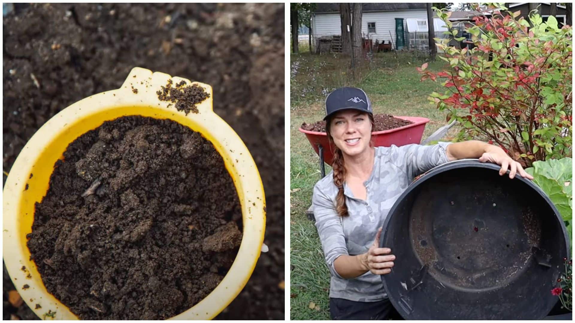 step-2-Choose The Correct Soil & Container