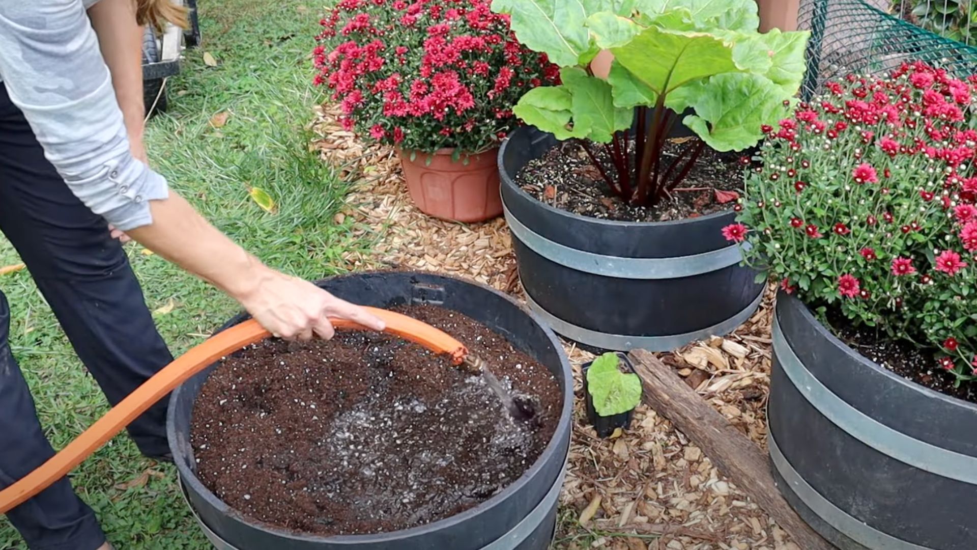 step-3-Prepare The Soil