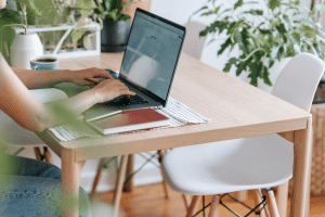 What Are the Best Plants for Your Home Office