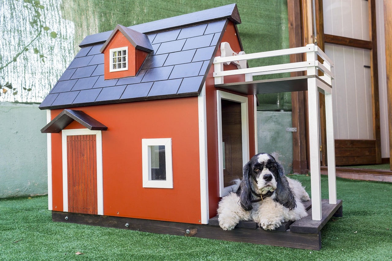 How to Winterize a Dog House