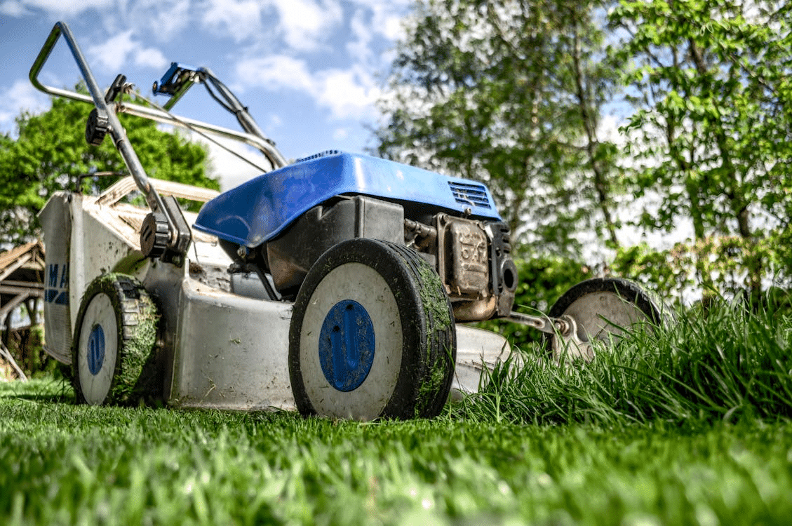 How to Maintain a Lush Lawn All Year Round