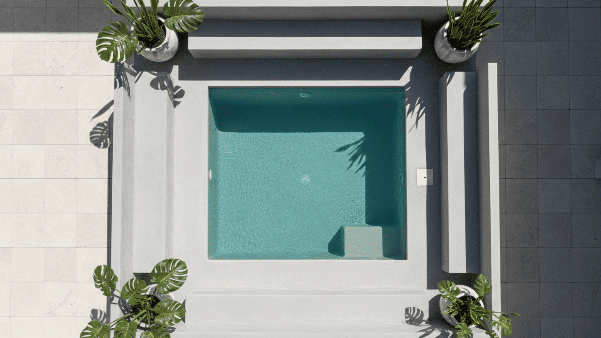 Courtyard Plunge Pool