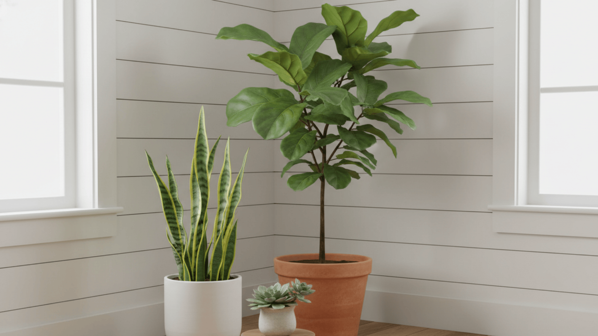 Farmhouse Plant Corner