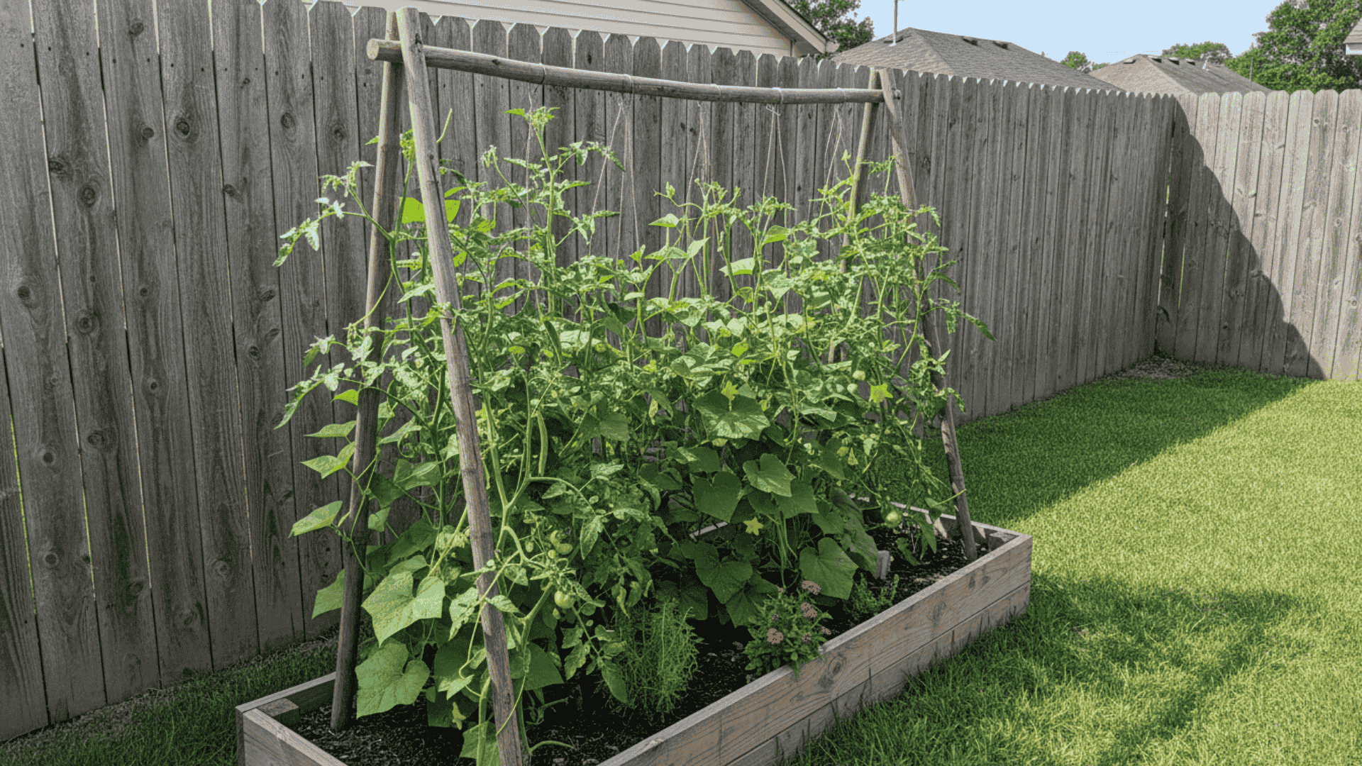 Vertical Vegetable Garden