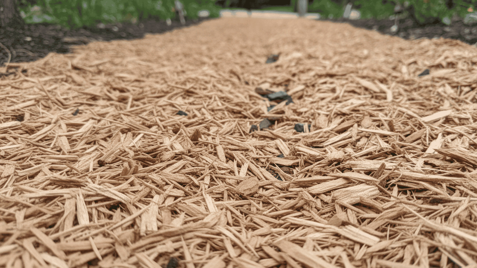 What Is Wood Mulch