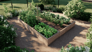 beginner basic vegetable garden layout guide